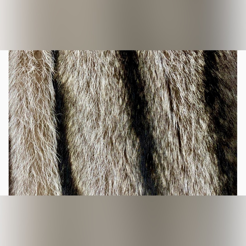 PHIL M STUPP RACCOON FUR COAT CHOCOLATE BROWN & CREAM GENUINE ❄️🎄❤️‍🔥 - Picture 8 of 8